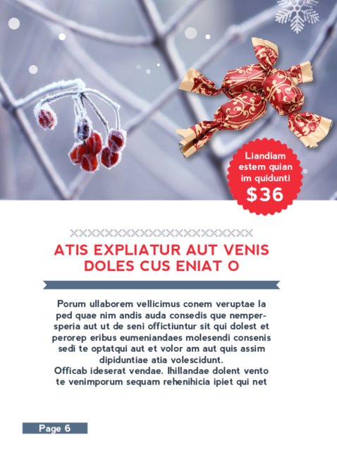https://adroits.sg/wp-content/uploads/2017/05/Retro-Christmas-Brochure6.jpg